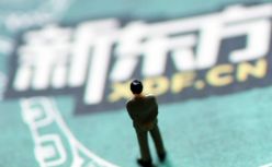 营收超预期，扭亏为盈的新东方解决了中年危机吗？