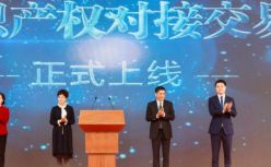 中国首家运用区块链技术开发运营的跨国技术转移与IP交易平台——江淮知识产权对接交易平台成功上线