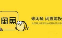 闲鱼鱼塘已超160万个，汇聚“骨灰级”果粉、手办收藏达人