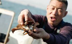一年卖出3亿海鲜：直播小镇与它背后的“卖水人”