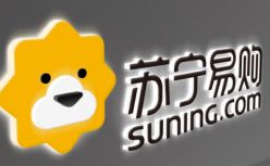时代转折中的苏宁
