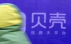 58围剿贝壳的365天