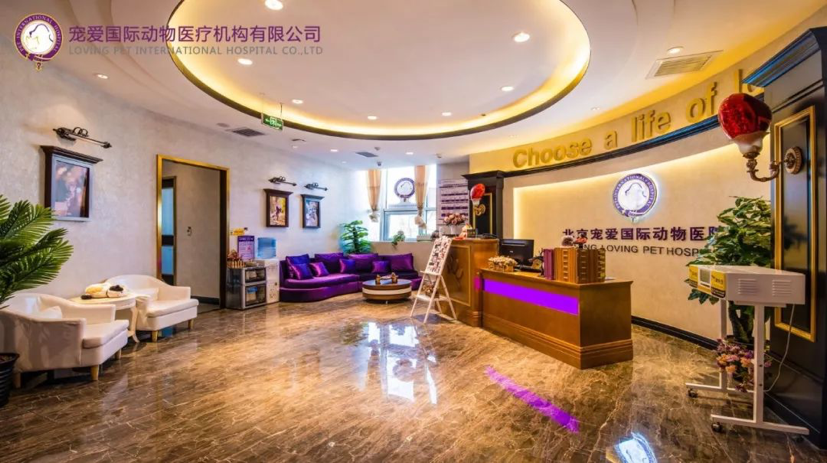 2宠爱国际动物医院半年完成两轮融资