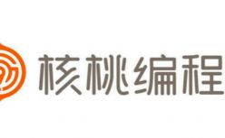 首个全国级编程能力等级考试启动 核桃编程参与标准制定