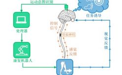 脑机康复先行者臻泰智能完成天使轮融资