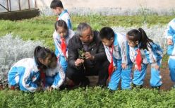 2.6亿种植人口，能催生多大的农业教育市场？