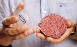 资本“吃”不到人造肉：新钱新兵进场 难吃和贵是拦路虎