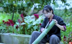 李子柒爆红背后，是逃不开的都市，回不去的故乡