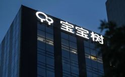 宝宝树，一场狂奔后的失去