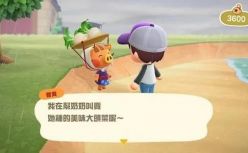 动森的出圈与任天堂的“自由”