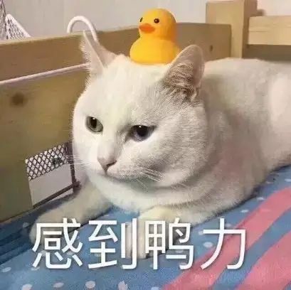 「99.5%」的明星，也在为买房烦恼？