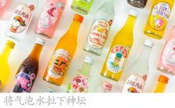 元气森林：“捞金”气泡水