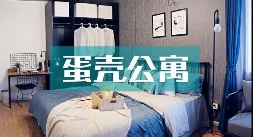 蛋壳