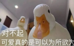 鸭，年轻人的新晋精神治愈师