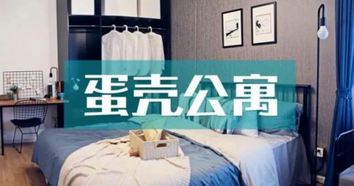 蛋壳