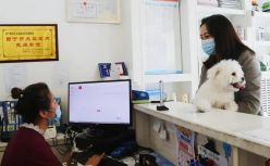 宠物医院，没有谁比它更懂收费