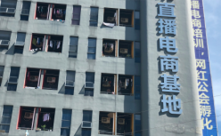 网红孵化基地凉了？