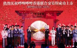 B站的可持续与高增长，能不能两全？