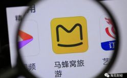 被遗忘的马蜂窝