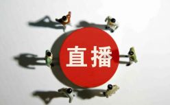 薇娅、辛有志、罗永浩们的下半场