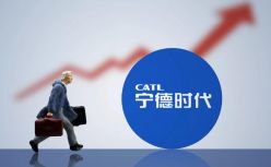 宁德爱拼又爱赌，万亿市值撑得住吗？
