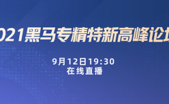 投资大咖和“小巨人”破题专精特新 