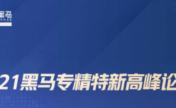 揭秘专精特新“小巨人”的成长密码，他们原来做对了这几件事情|2021黑马专精特新高峰论坛 