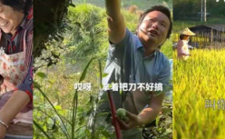 “瓜分”李子柒