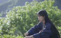 李子柒没有回头路