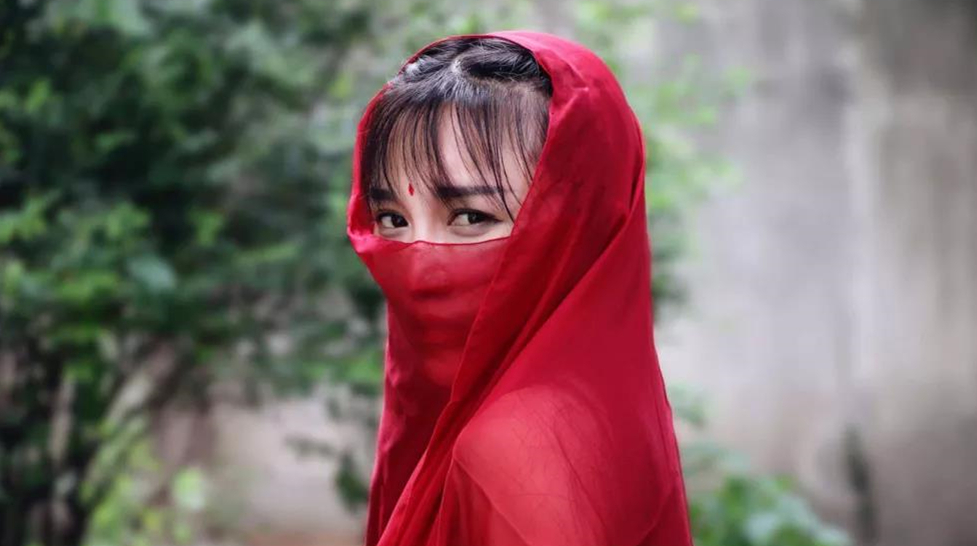 21650万老外在等李子柒