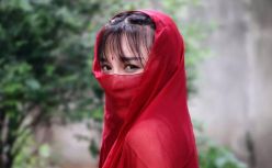 1650万老外在等李子柒