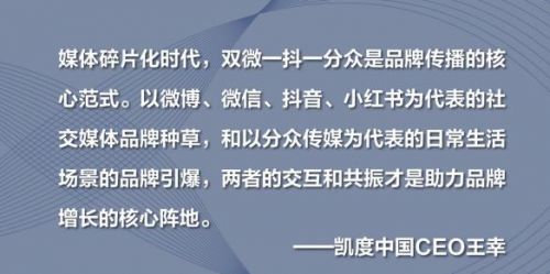 流量投放的勤奋，掩盖不了品牌建设的缺失