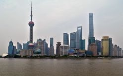 我们正在上海创业：救公司，救家人，救猫狗