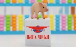 温氏股份日亏3千万，“猪周期”尚在筑底