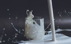 11万头奶牛撑起一个IPO