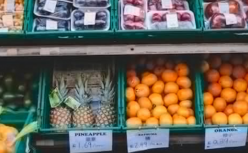 多点冲刺IPO，张文中能等来“救命钱”吗？