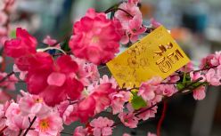 红包大战熄火，春节黄金档渐成鸡肋？