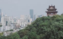 武汉，最新诞生一个独角兽