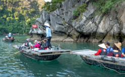 3个月赚回一年收入，旅游人忙成了007