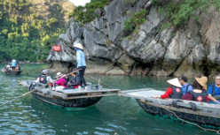 五一生意经盘点：热闹的，复苏的，失宠的