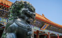 再成十一顶流，年轻人为何钟情博物馆？