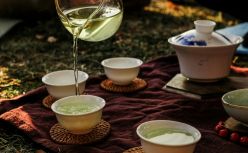 梅西把“化肥大王”高进华坑惨了